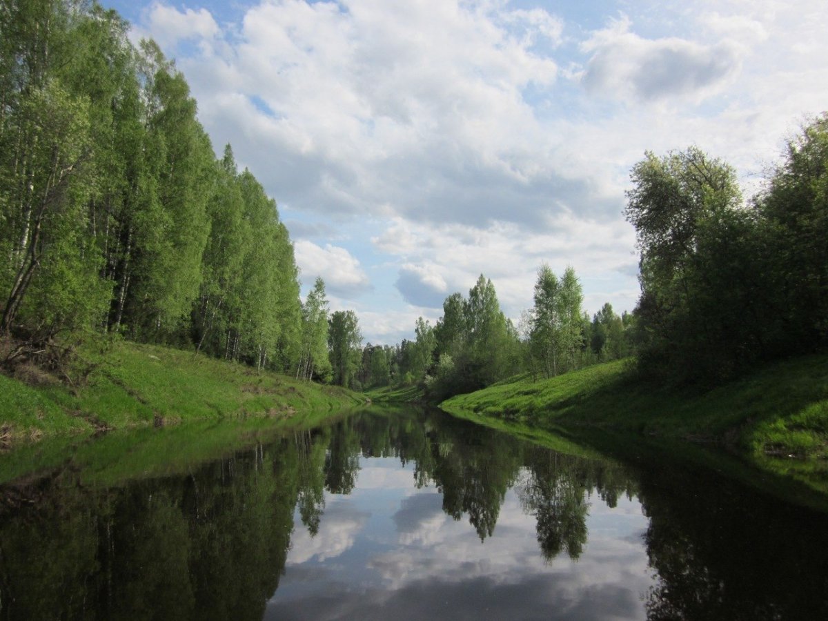 Река Тосна Ленинградская