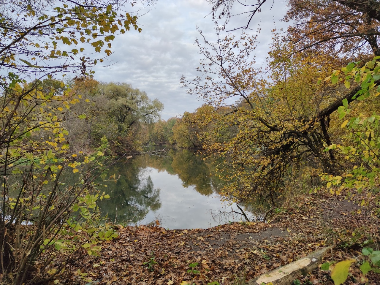 Река Сейм город Курск осень