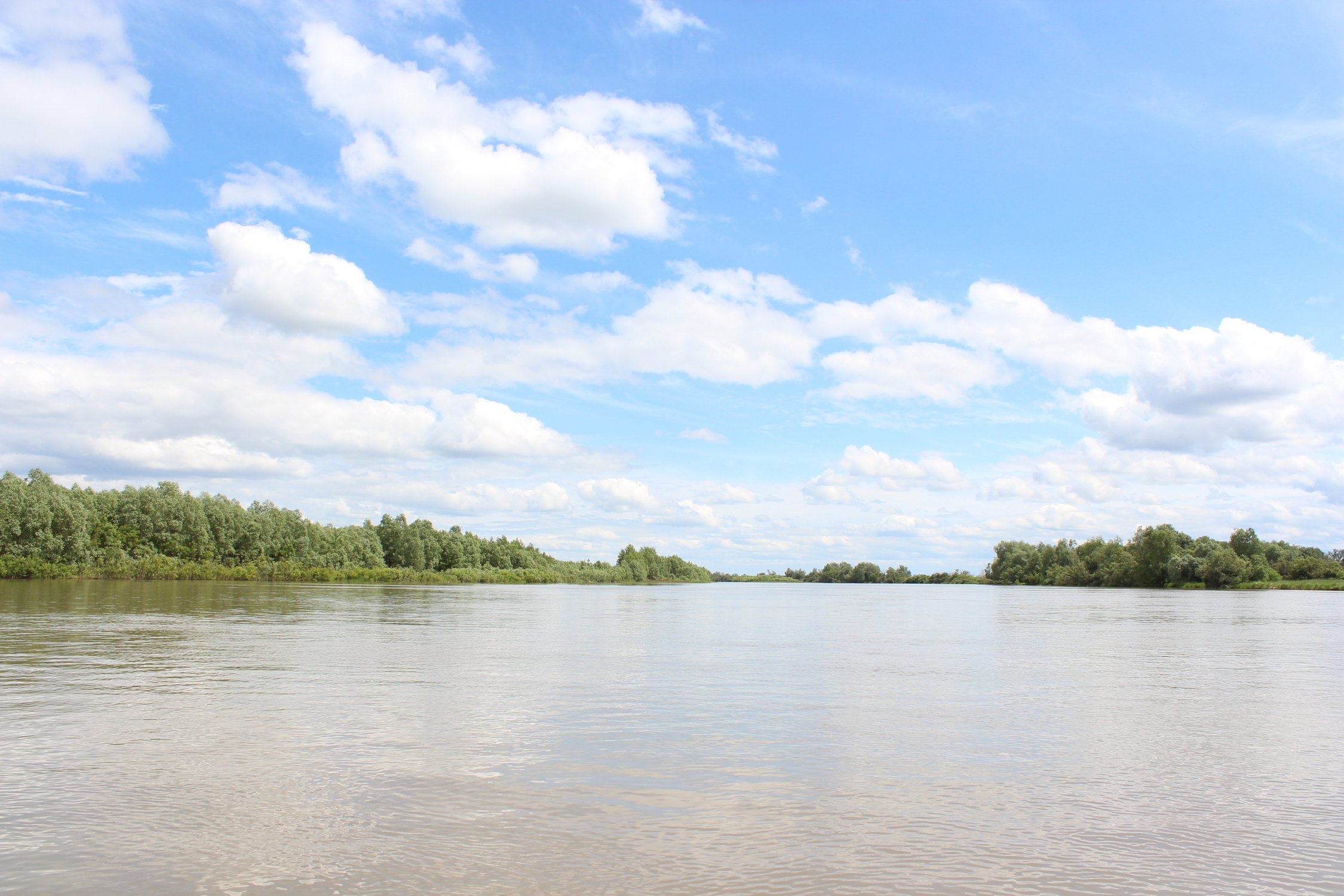 Река Обь в Алтайском крае