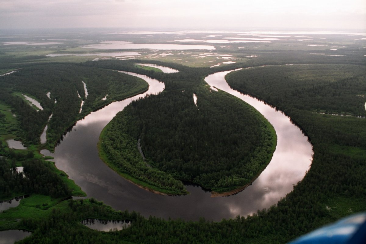 Река Пур Ненецкий автономный округ