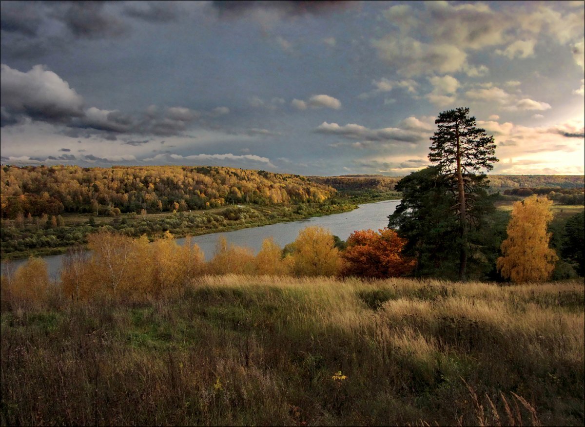 Река Ока Таруса осень