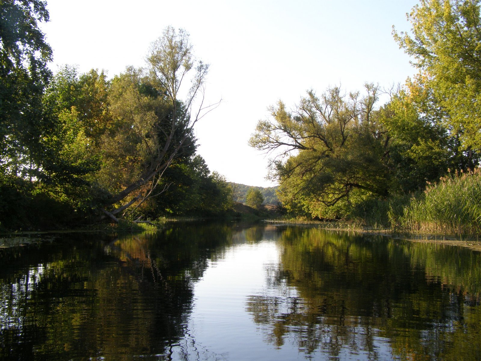Река псел в курской области