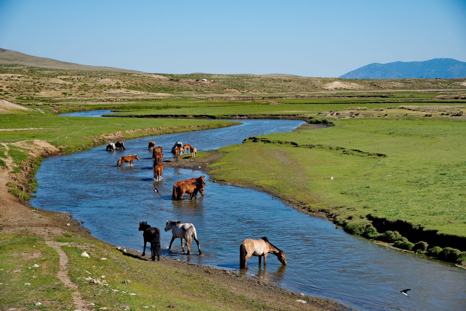 Река ероо Монголия