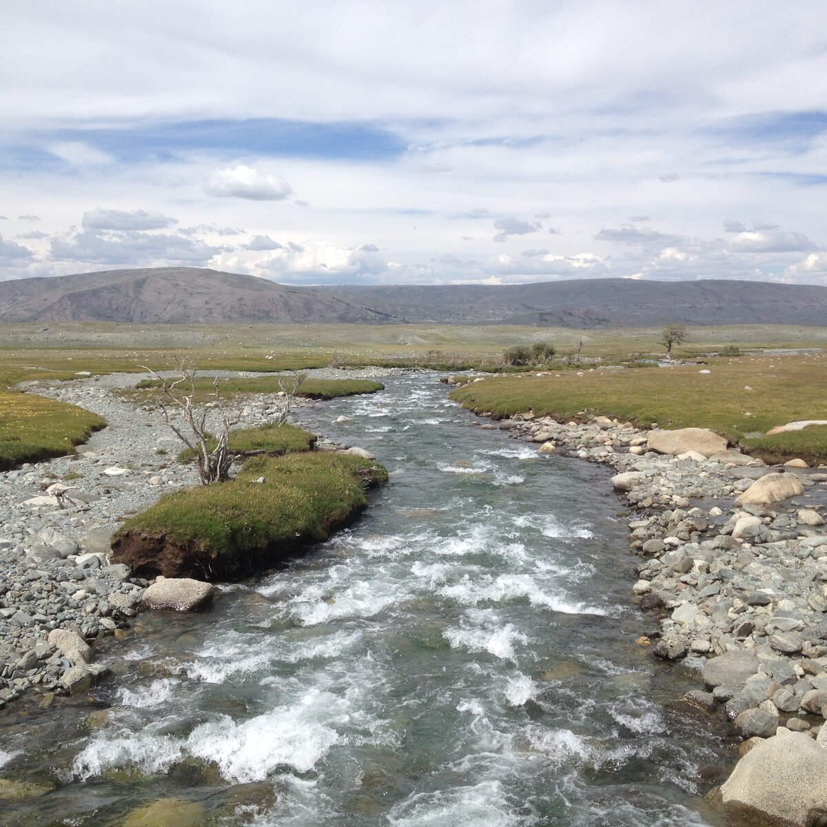 Река Ховд в Монголии