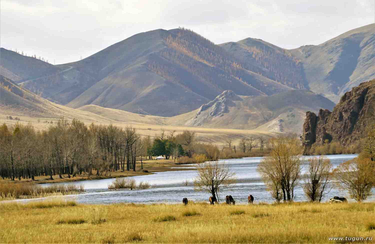 Река Онон Монголия