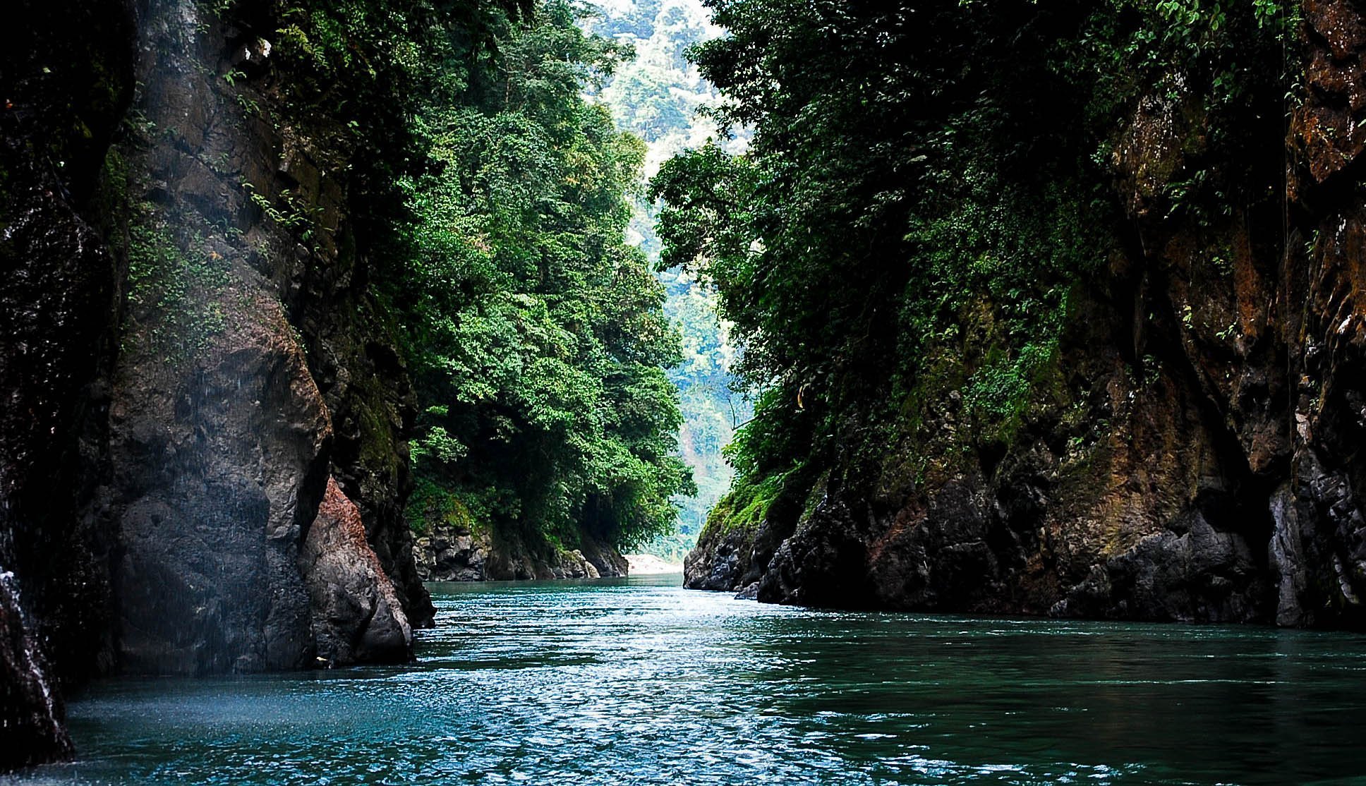 Коста рика леса