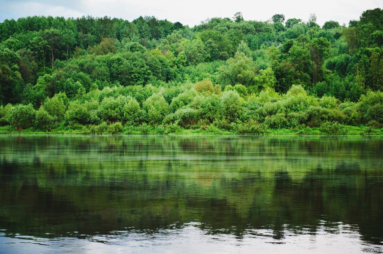 река ока в калужской области