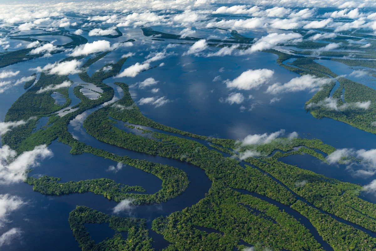 Река амазонка сверху