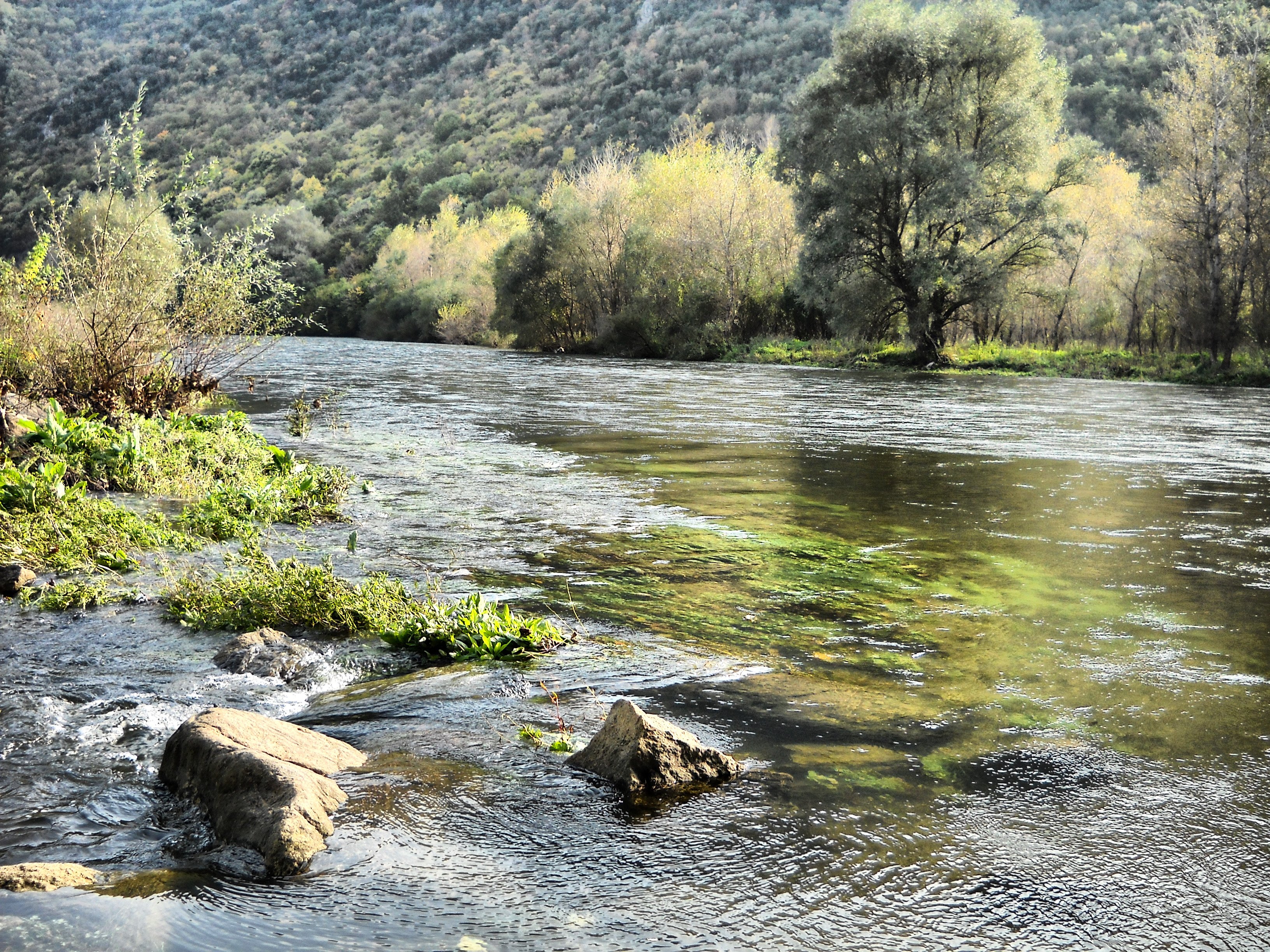 Большие реки греции. Река Нестос. Река Нестос в Греции. Стримон река в Греции. Река Альякмон.