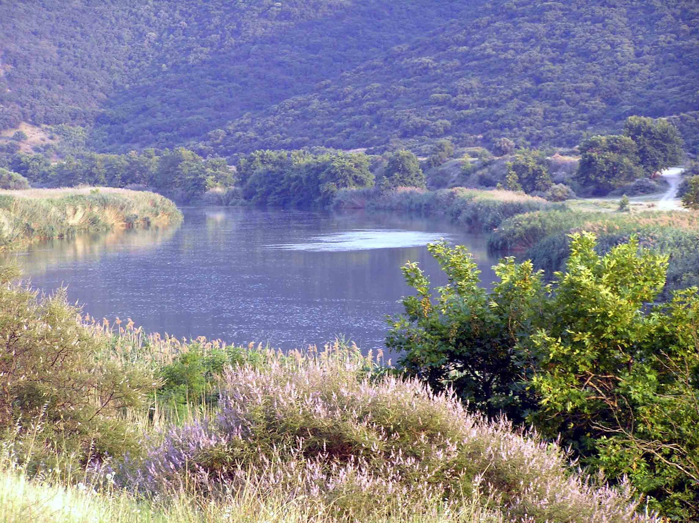 Большие реки греции. Река Альякмон в Греции. Река Эврос Греция. Река Альякмон. Ахелоос (река).