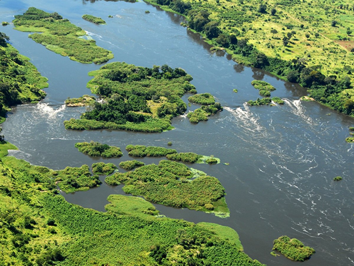 Дельта реки Конго