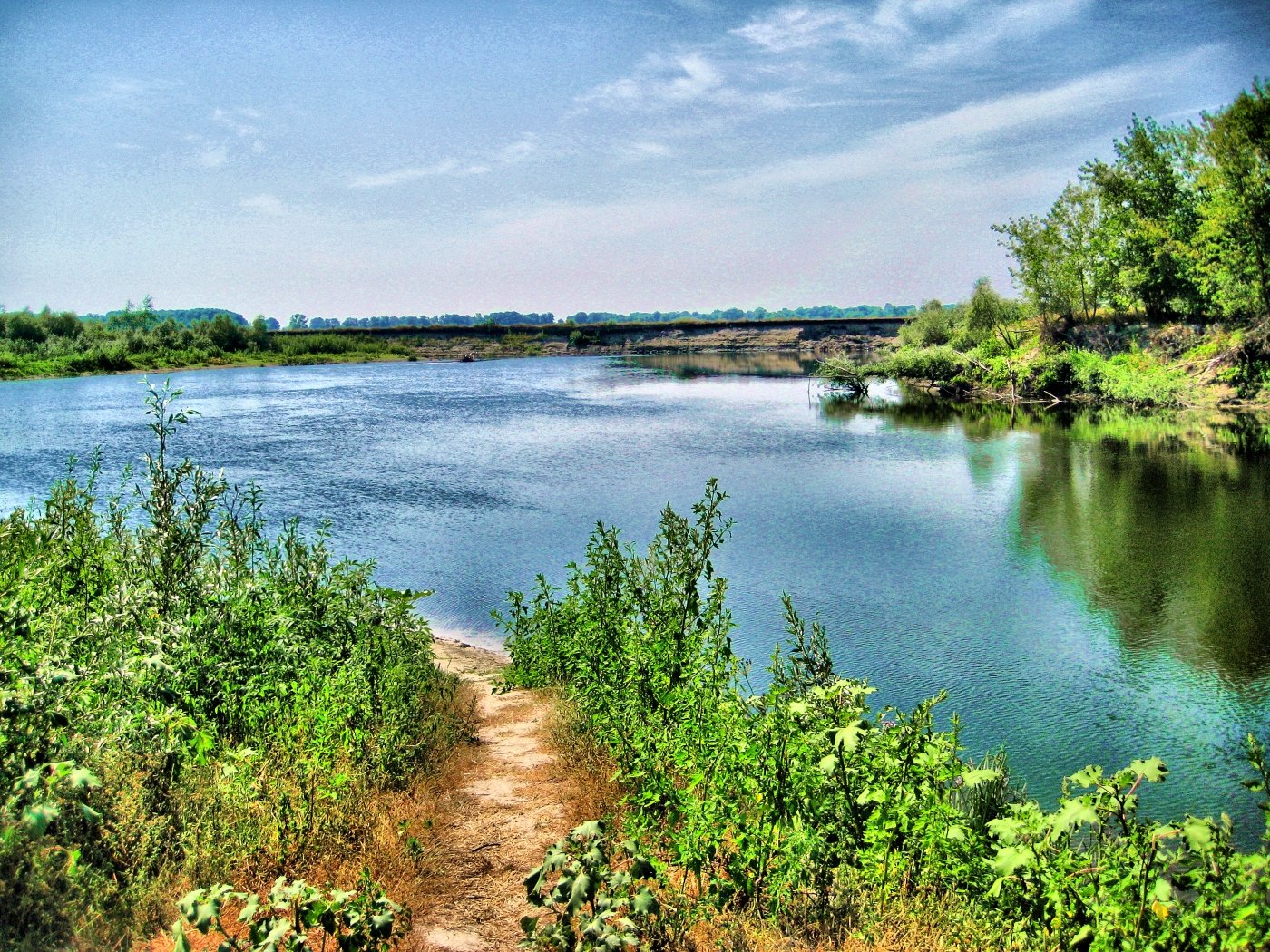 Река укр. Реки Украины. Украина природа река. В Украине красивые реки. Украинские реки.