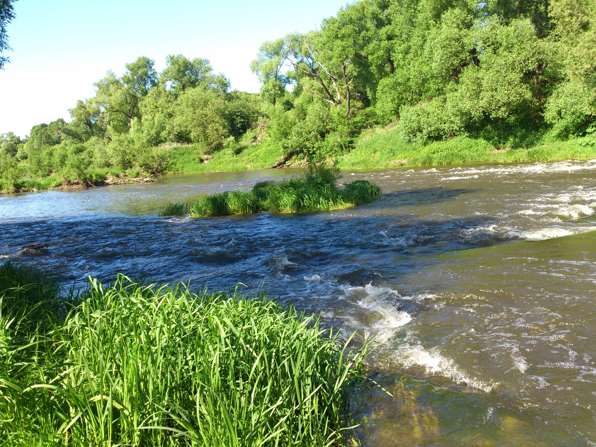 река осетр серебряные пруды