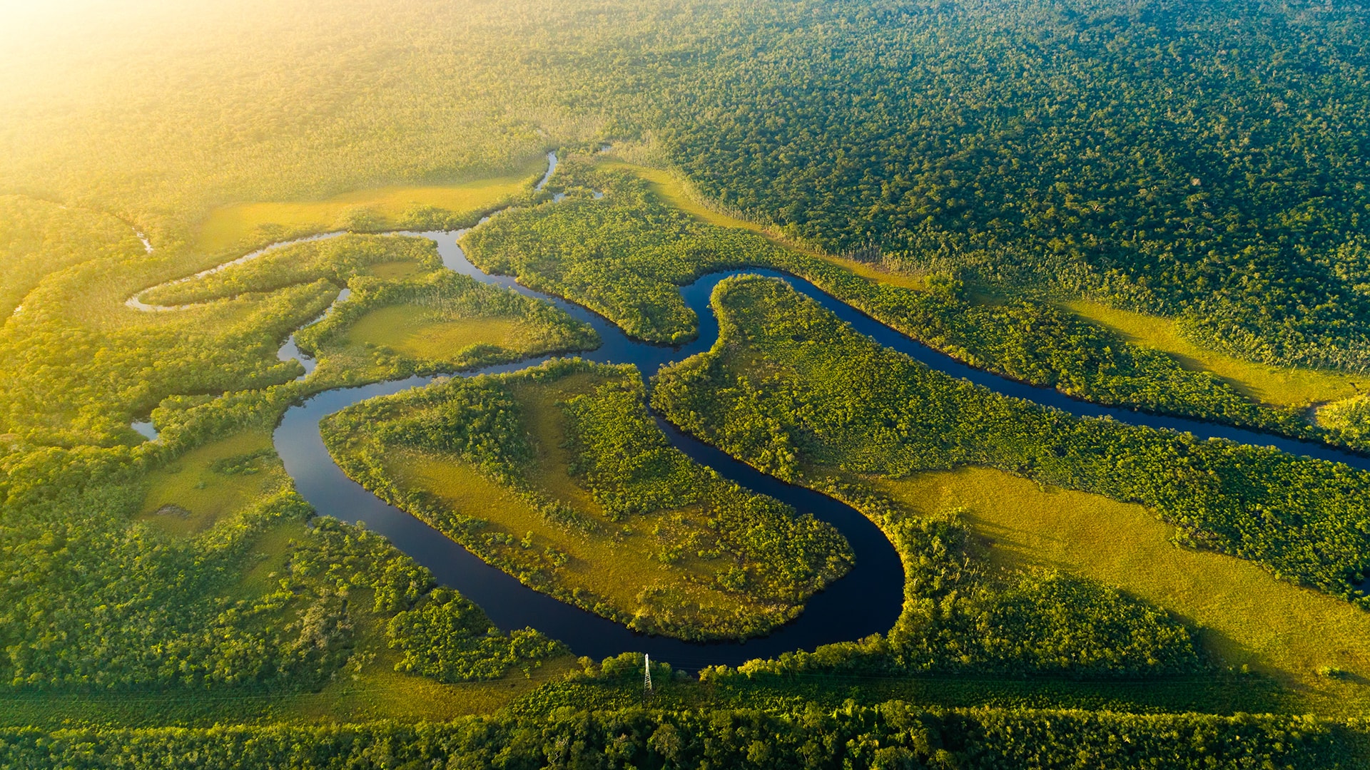 Извилистая река Амазонка