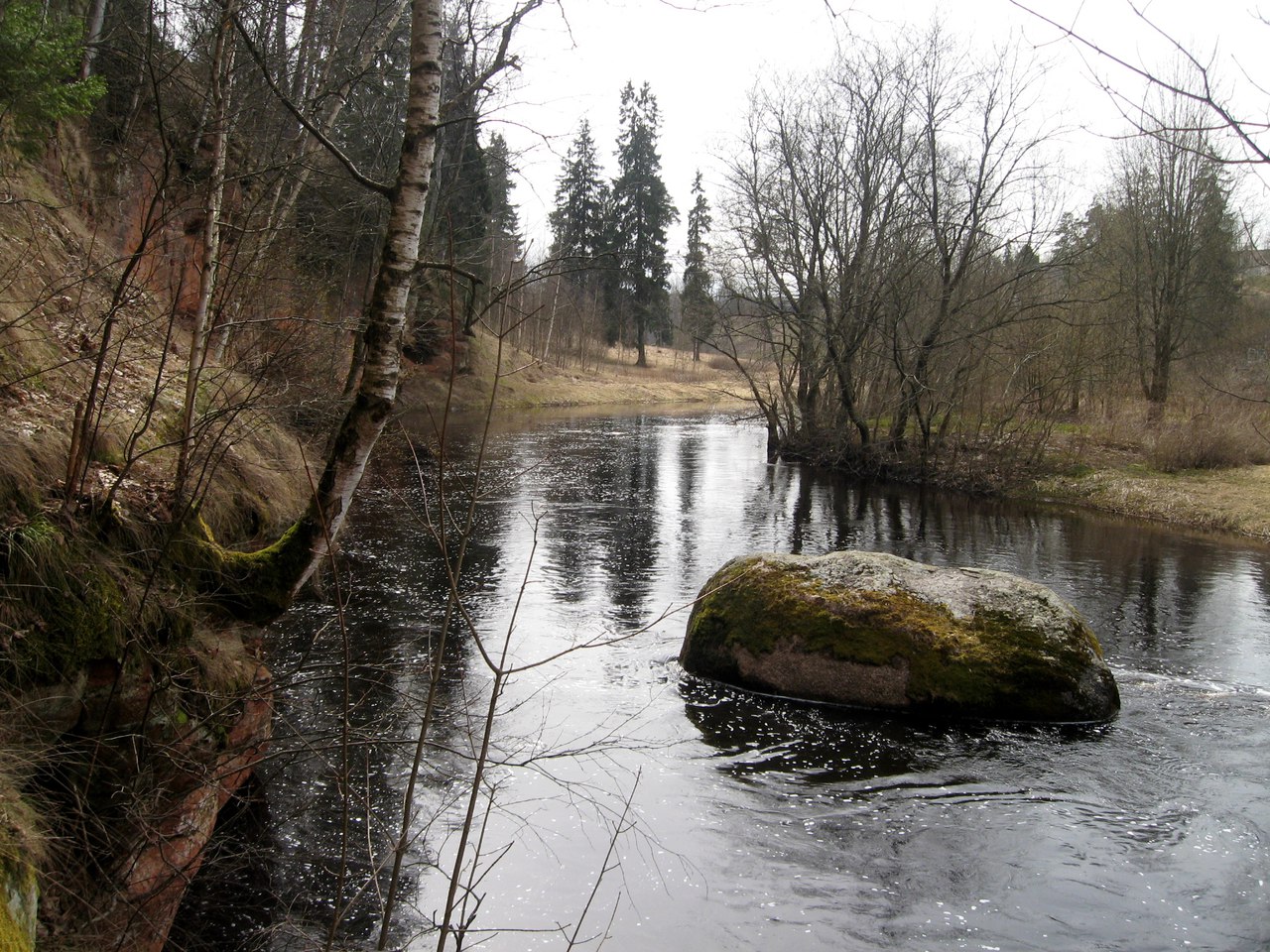 река лава ленинградская область