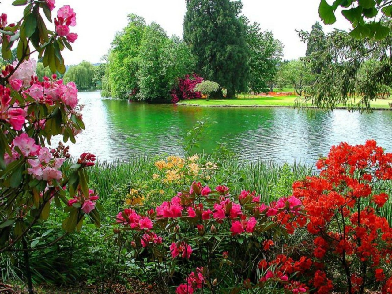 Красивый сад с озером
