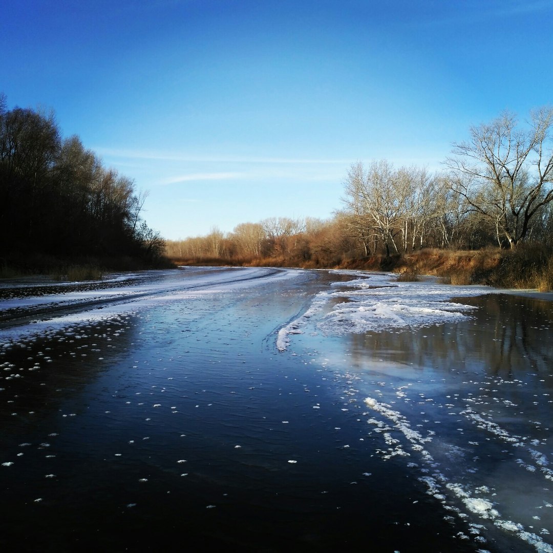 Вода в реке замерзла. Замерзшая река. Сызранка река зима. Замерзшие ветки.