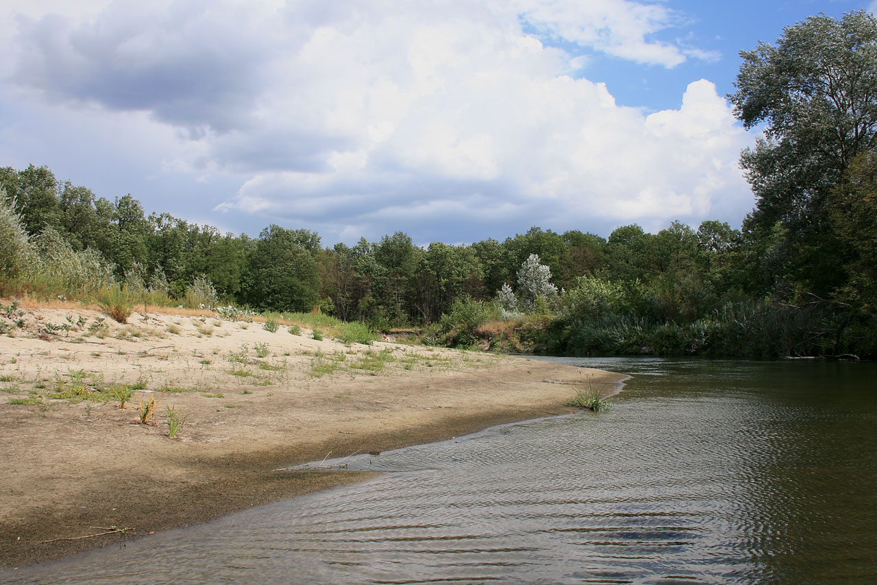 Река хопер в балашове