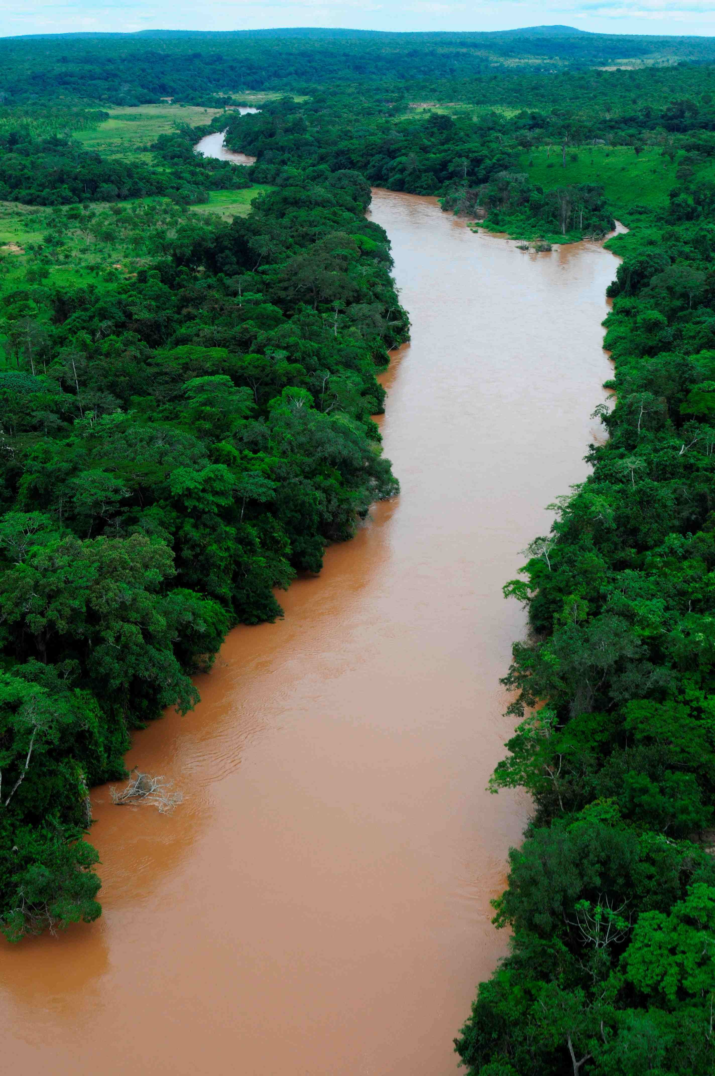 Река конго красивые