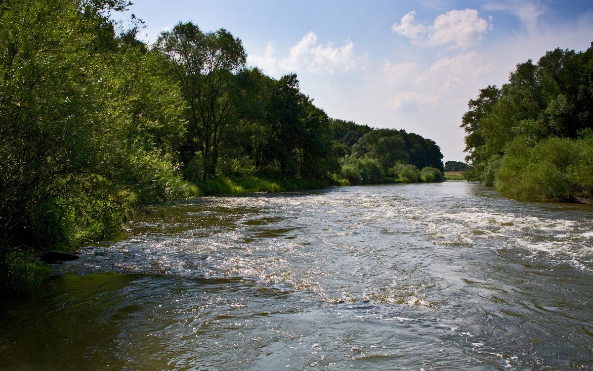 фото текущей реки