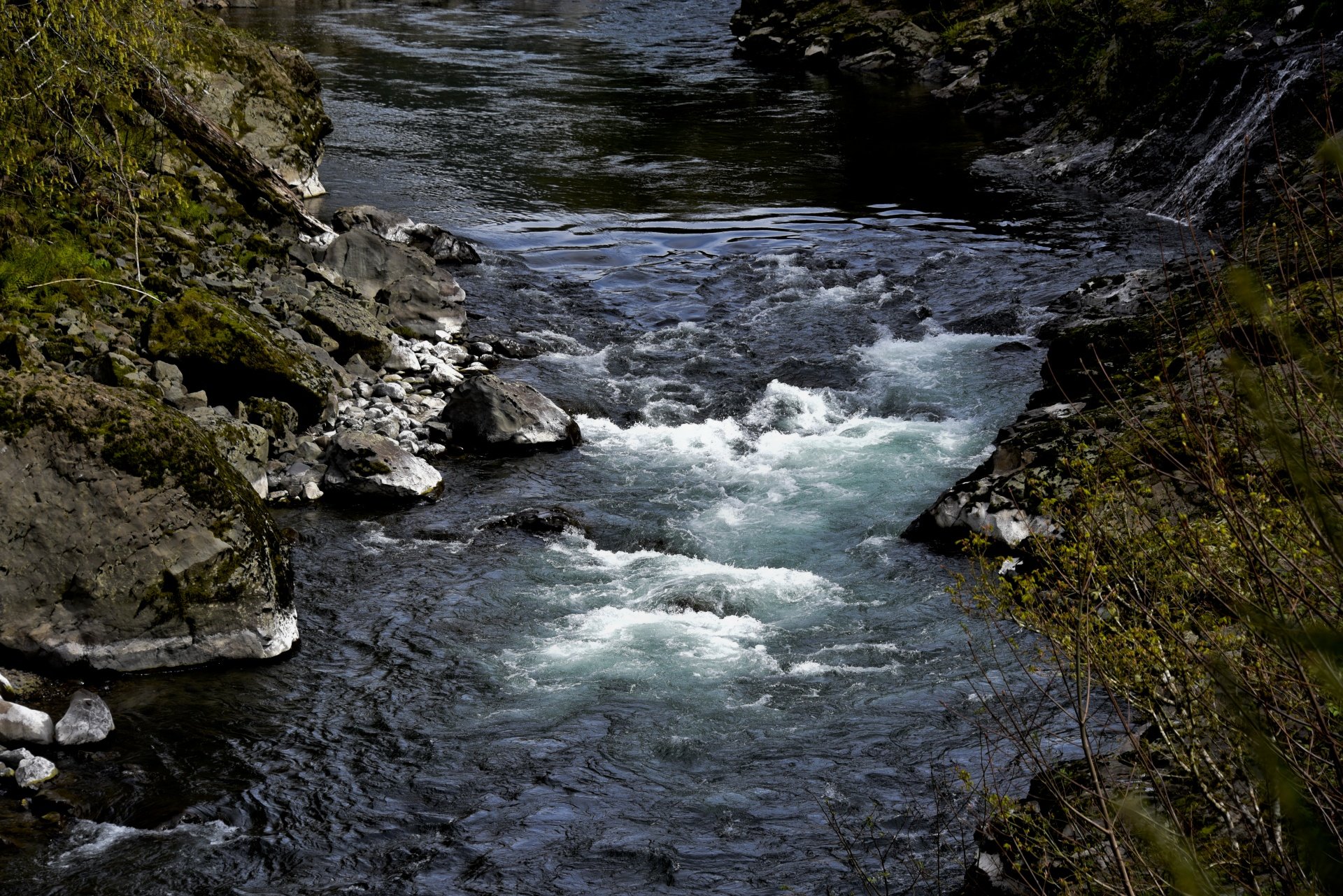фото текущей реки