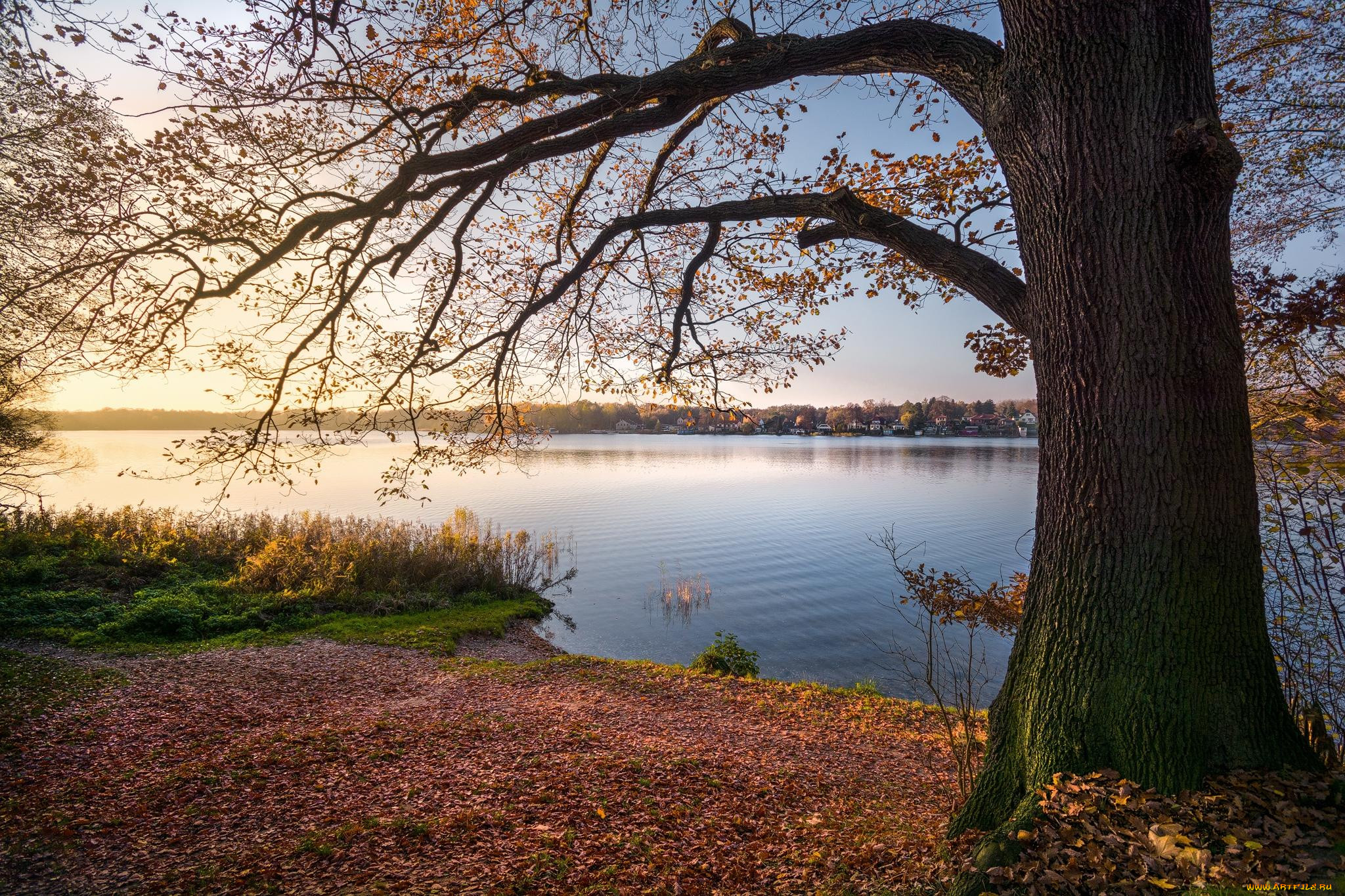Осень возле озера