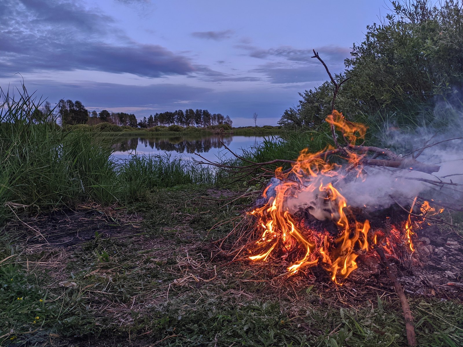 Вроде не пиранья: жители Алтайского края обнаружили в реке необычную рыбу