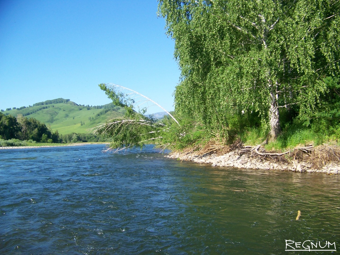реки озера алтайского края на