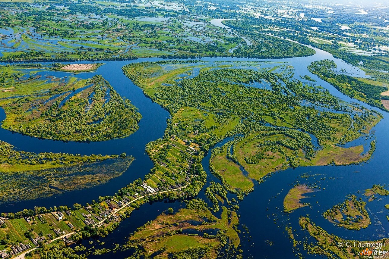 Исток реки Припять