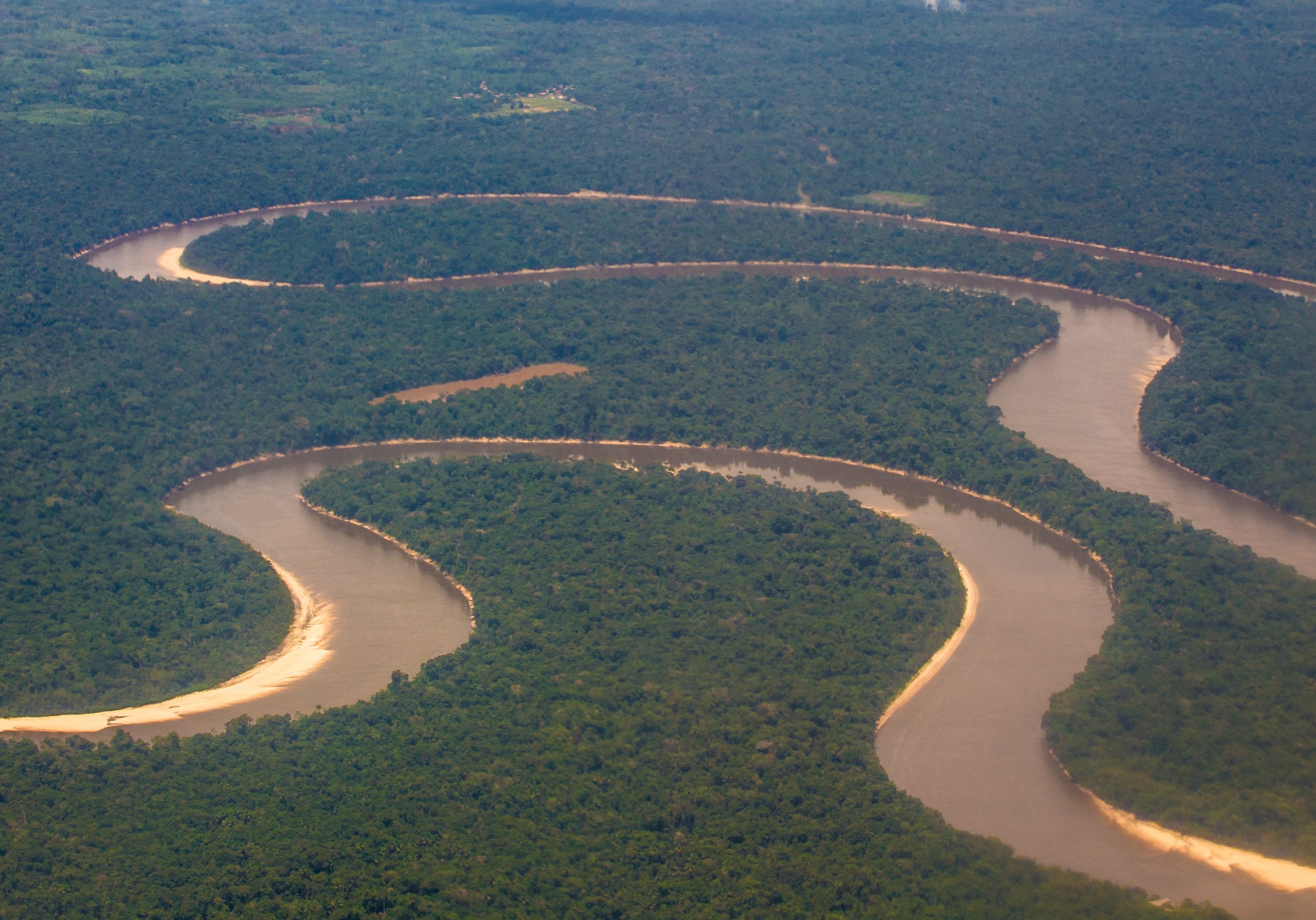 Какая самая длинная река на свете. Бразилия Амазонская низменность. Река Аракара в Бразилии. Река Амазонка в Бразилии.