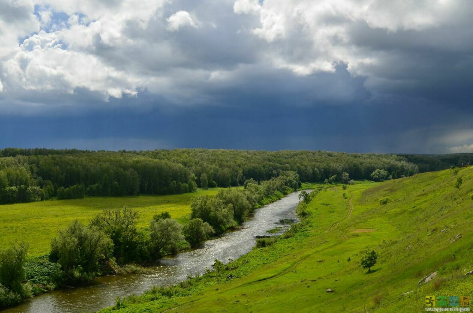 Река осетр тульская область