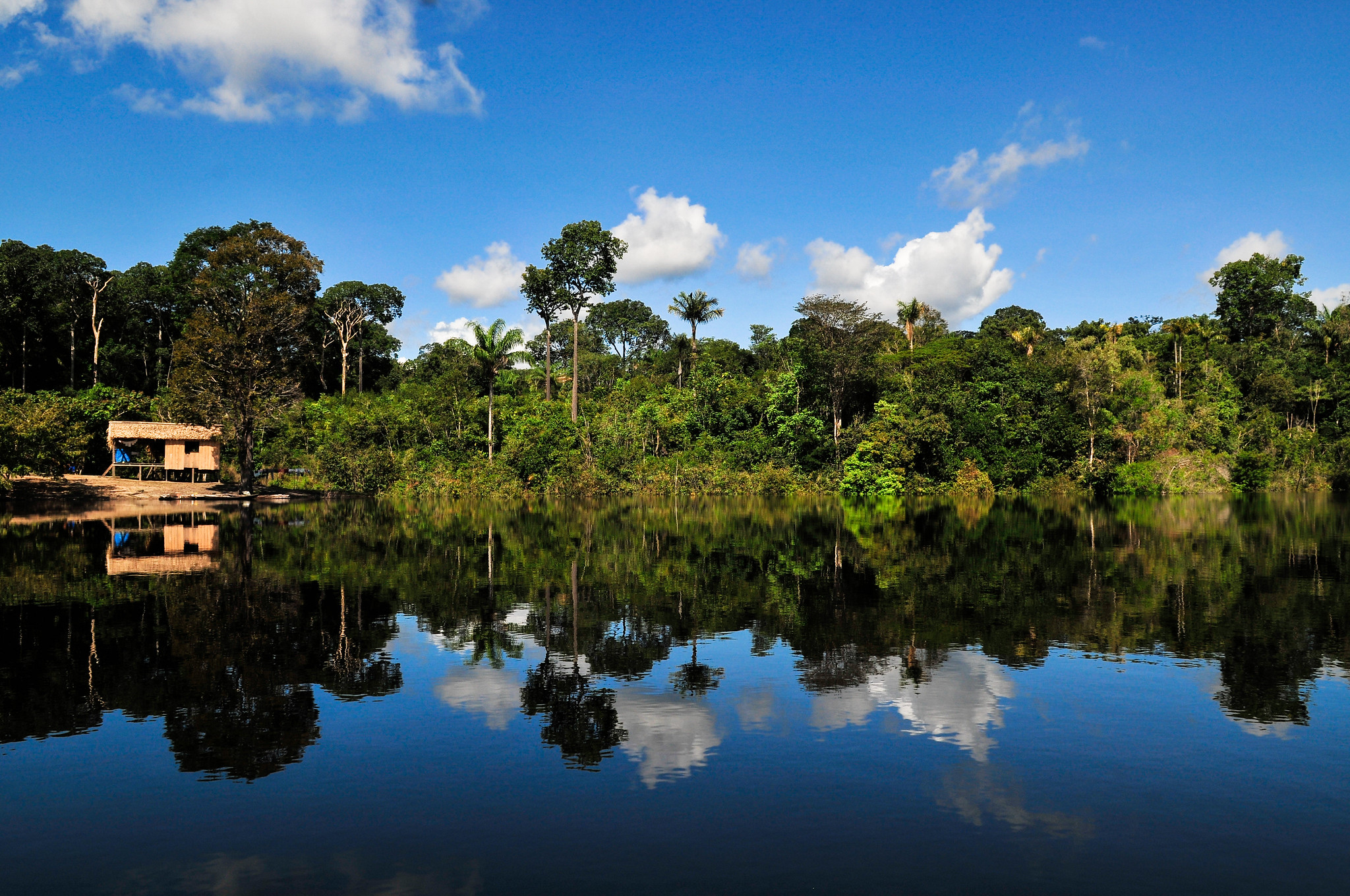 Фото амазонки реки в Бразилии