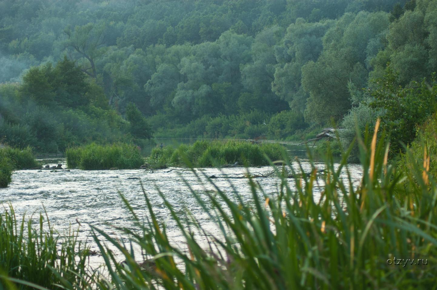 Река осетр серебряные пруды