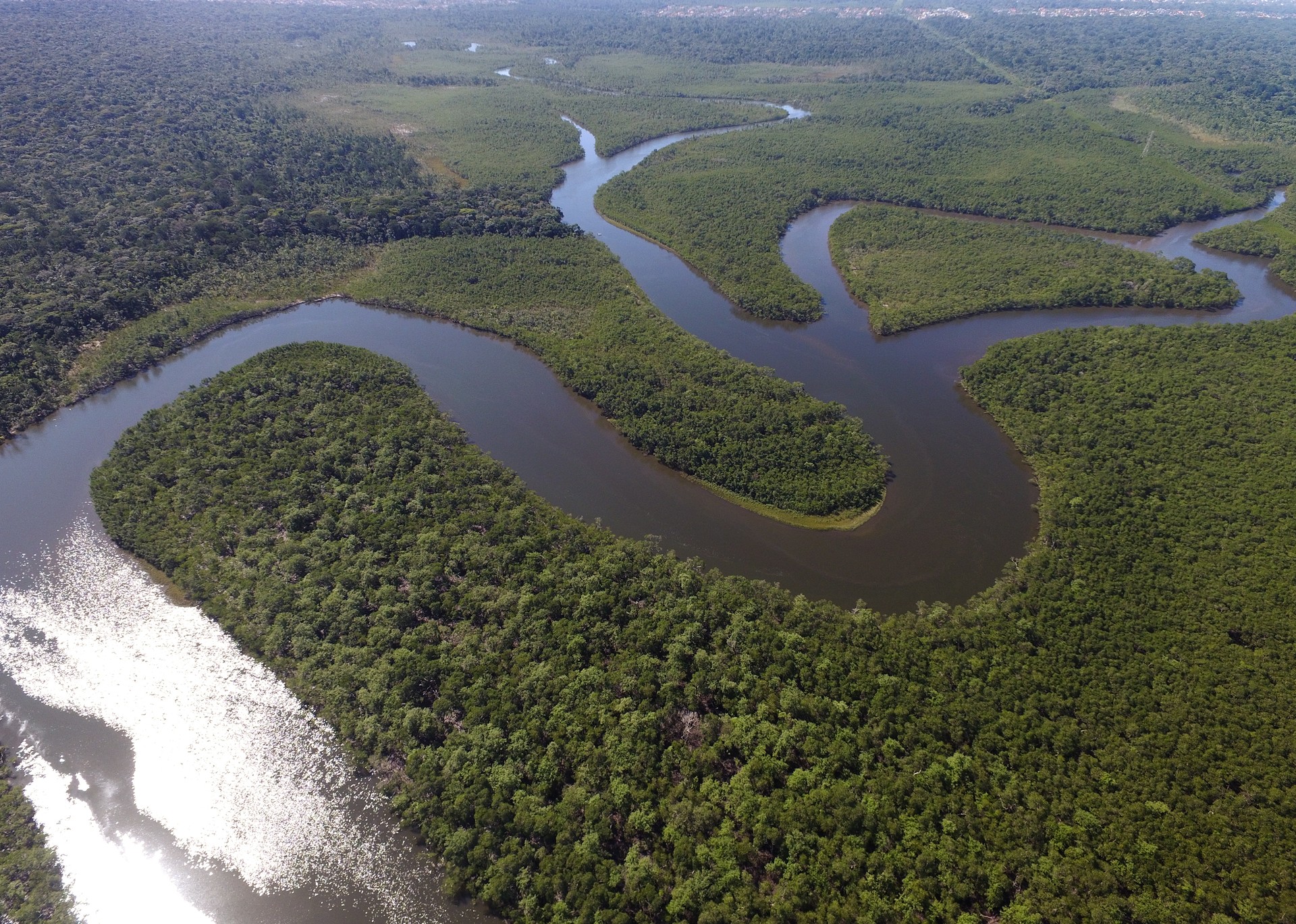 Самая полноводная река бразилии. Река Амазонка в Бразилии. Южная Америка река Амазонка. Устье реки Амазонка. Амазонская низменность.