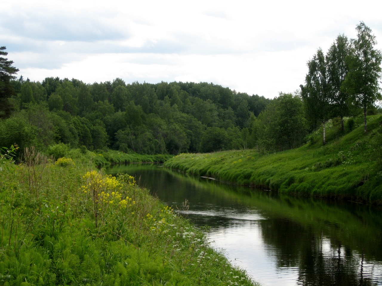 река черная ленинградская область