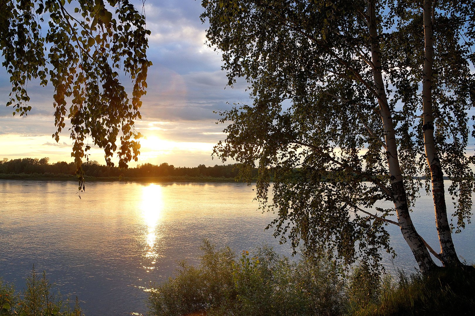 Волга река Березка