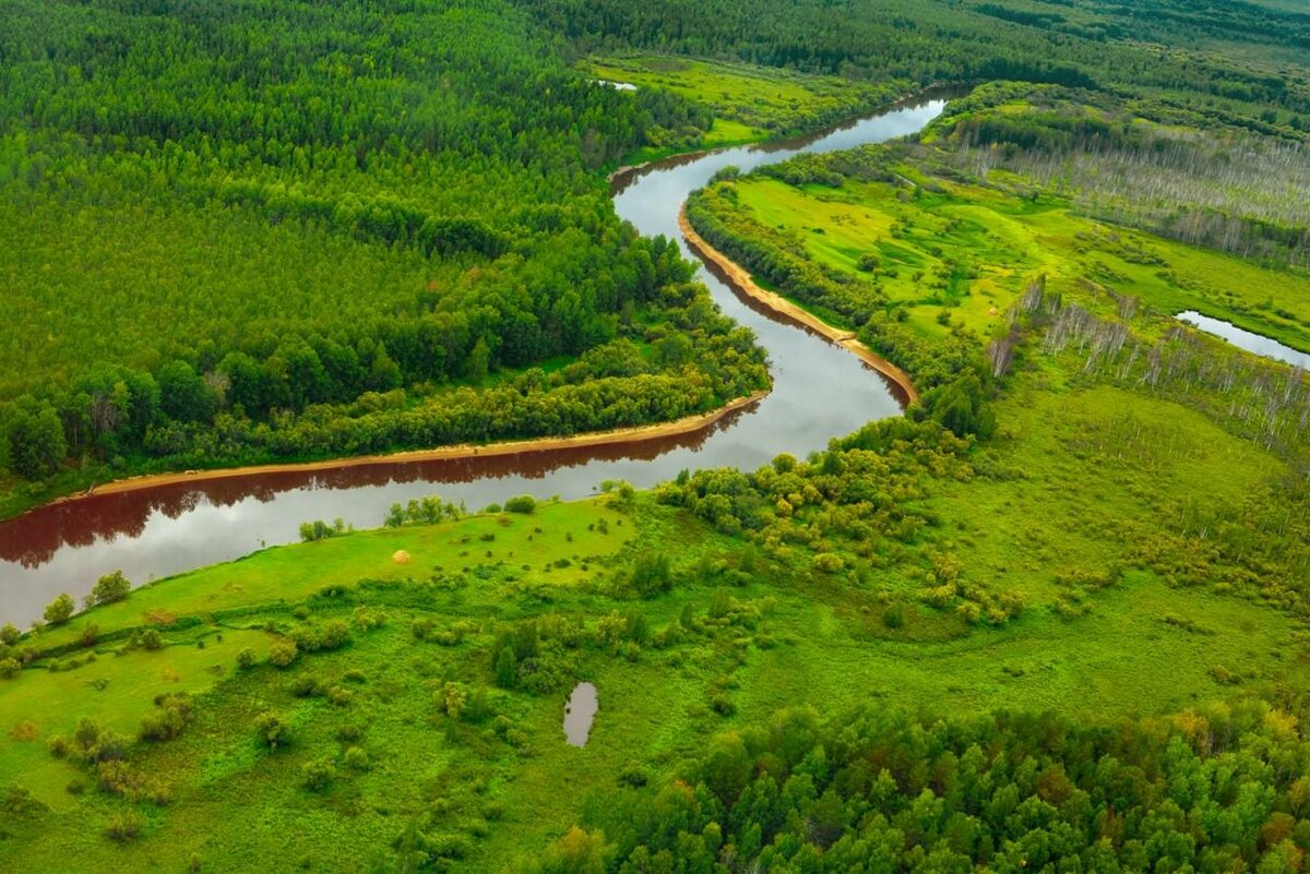 Западная Сибирь река Васюган