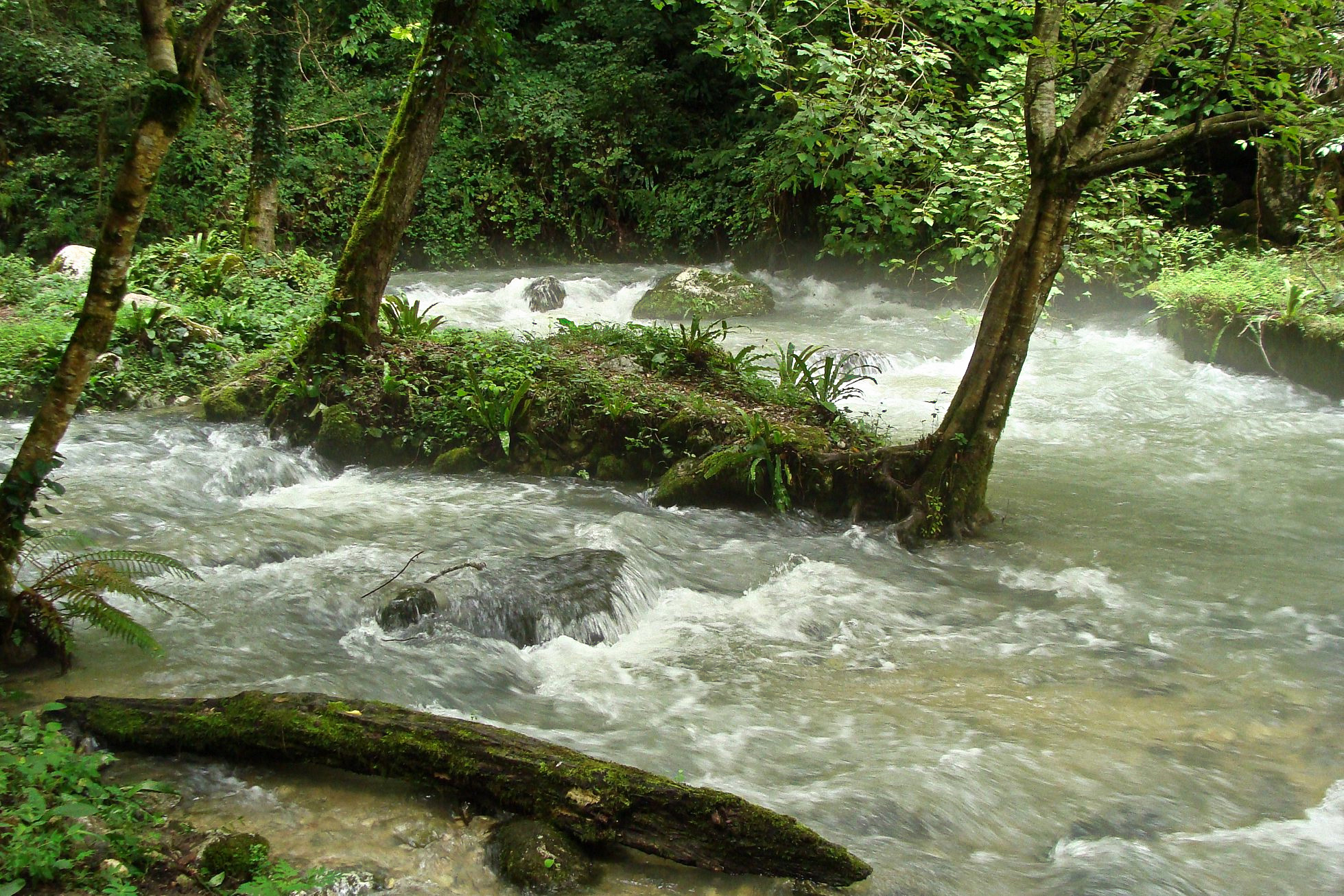 Абхазия ущелье реки Псырцха