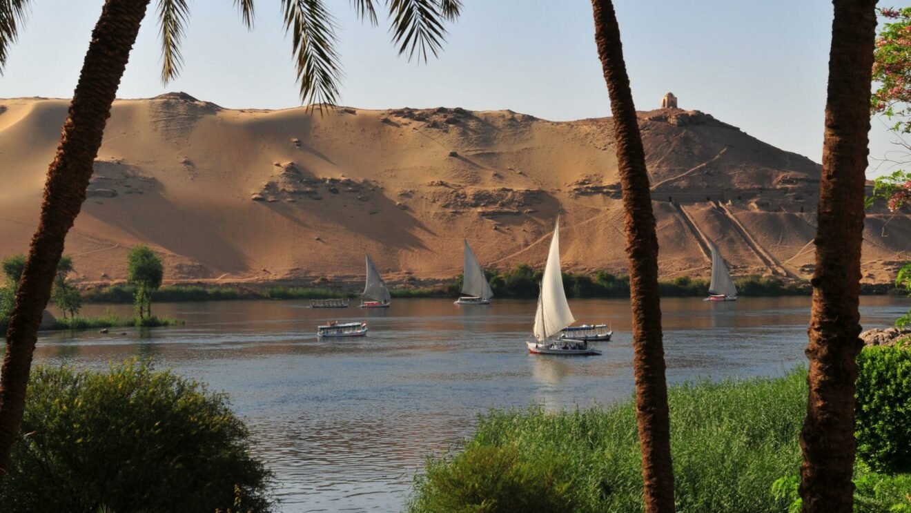 Природа египта красивые