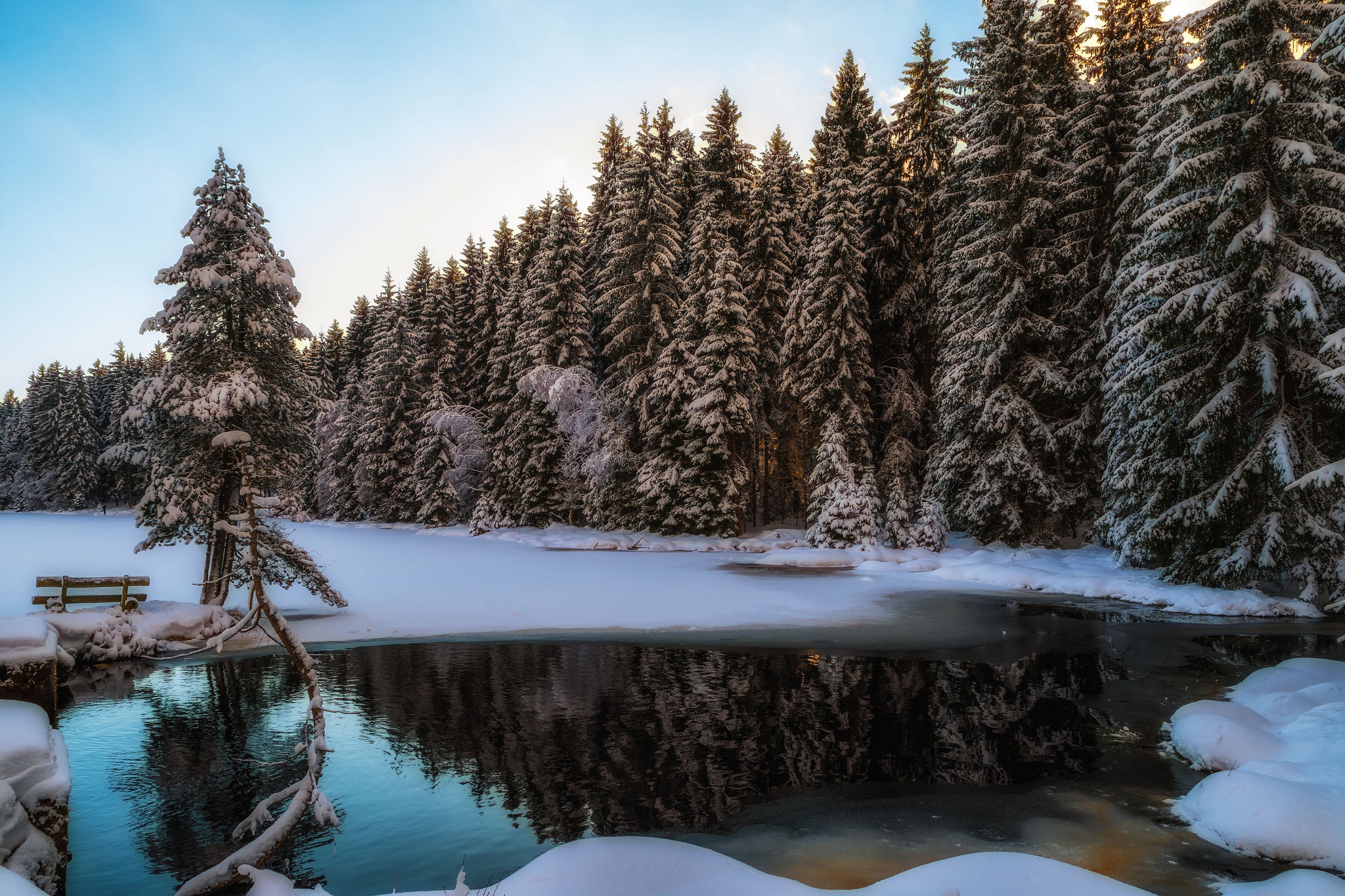 Зима лес озеро
