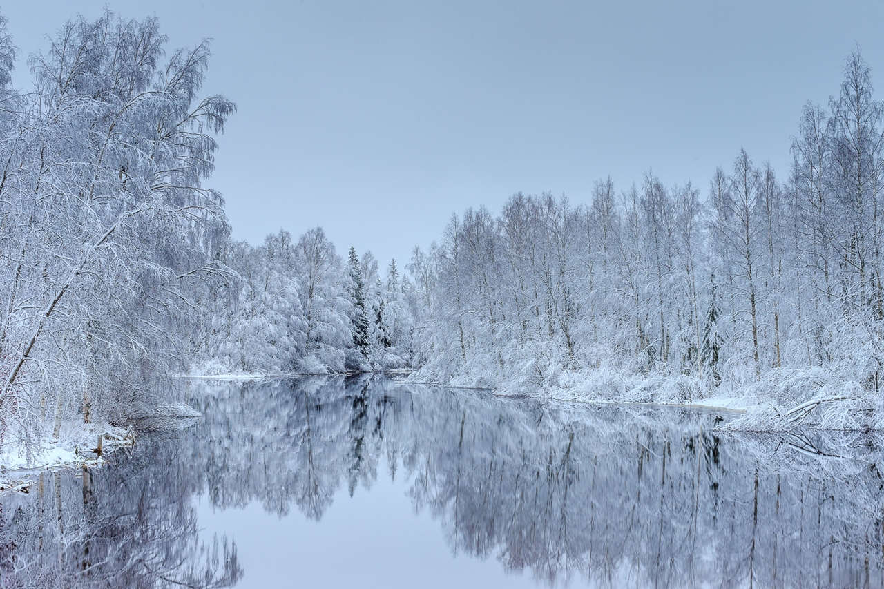 Природа зима лес озеро