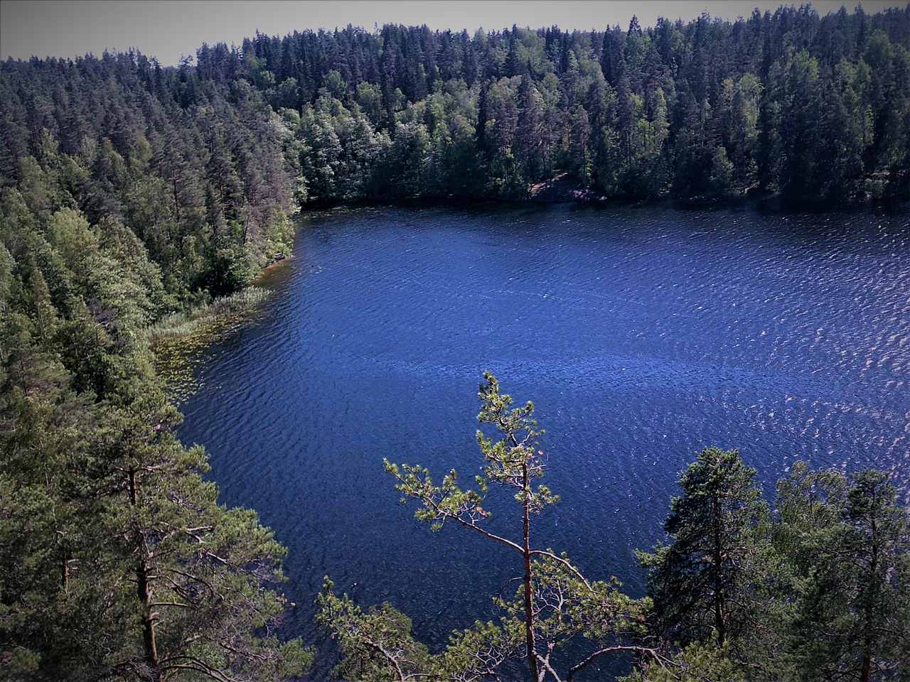 Ястребиное озеро Ленинградская
