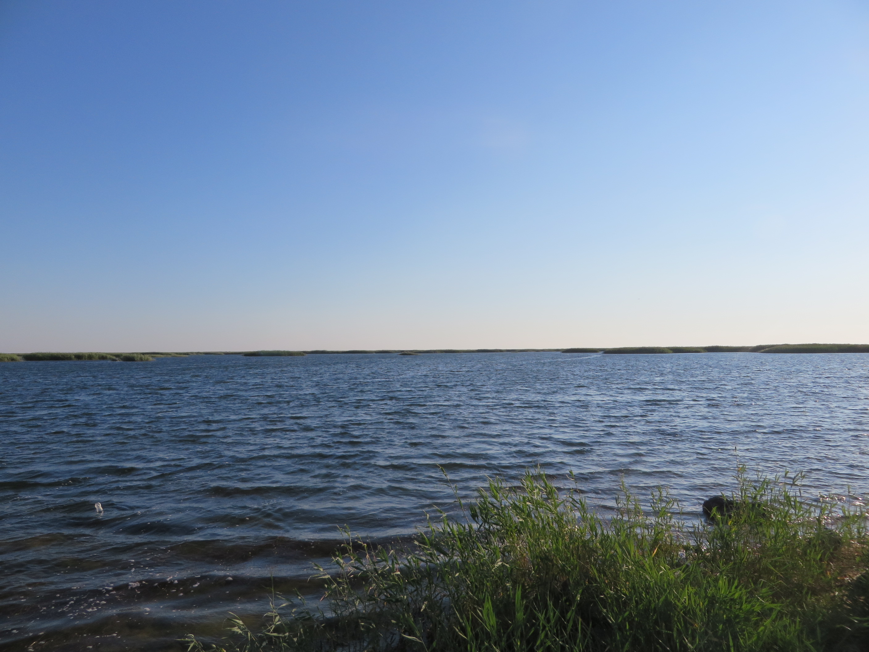 Озеро Таволжаное Курганская