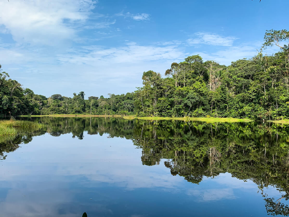 Озеро Амазонка Орехово-Зуево