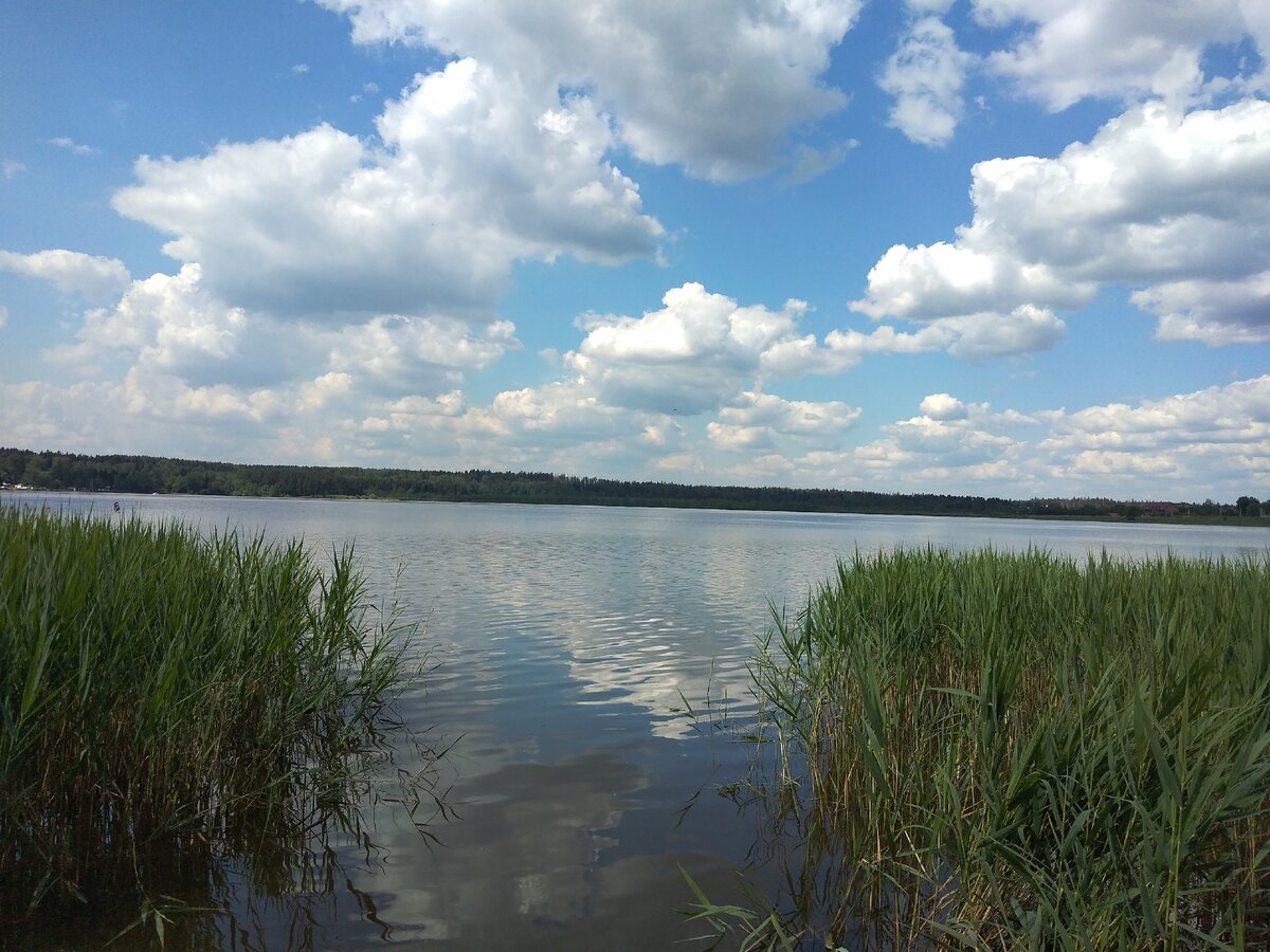 Озеро круглое московская область пляж фото