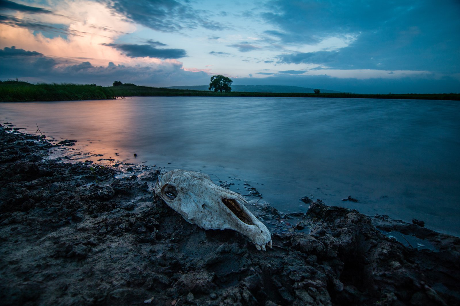 Есть мертвое озеро. Мёртвое озеро в Пензенской области. Мертвое озеро озеро. Круглое озеро Пенза Леонидовка. Мертвое озеро Леонидовка.