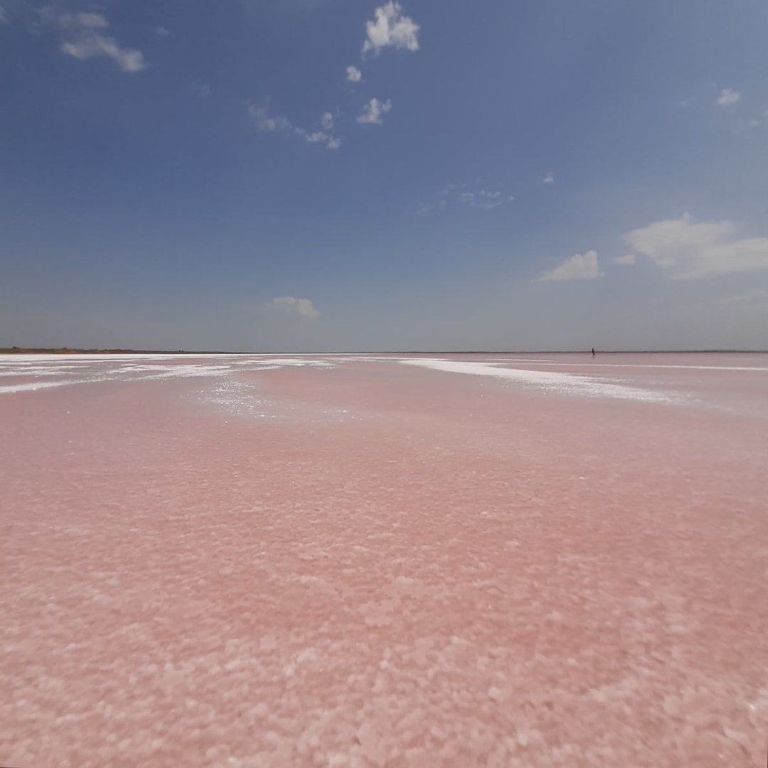Розовое озеро Феодосия