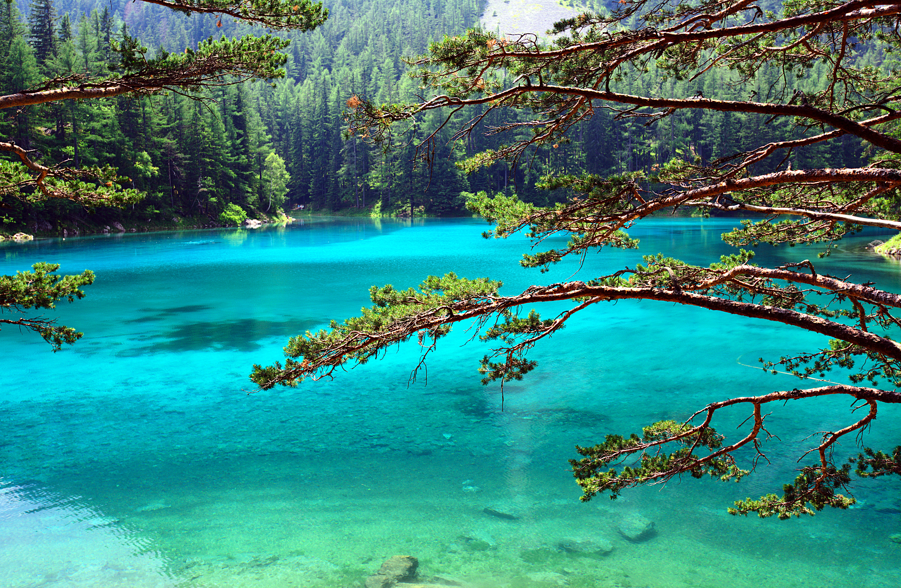 Австрийское озеро Грюнер-Зее