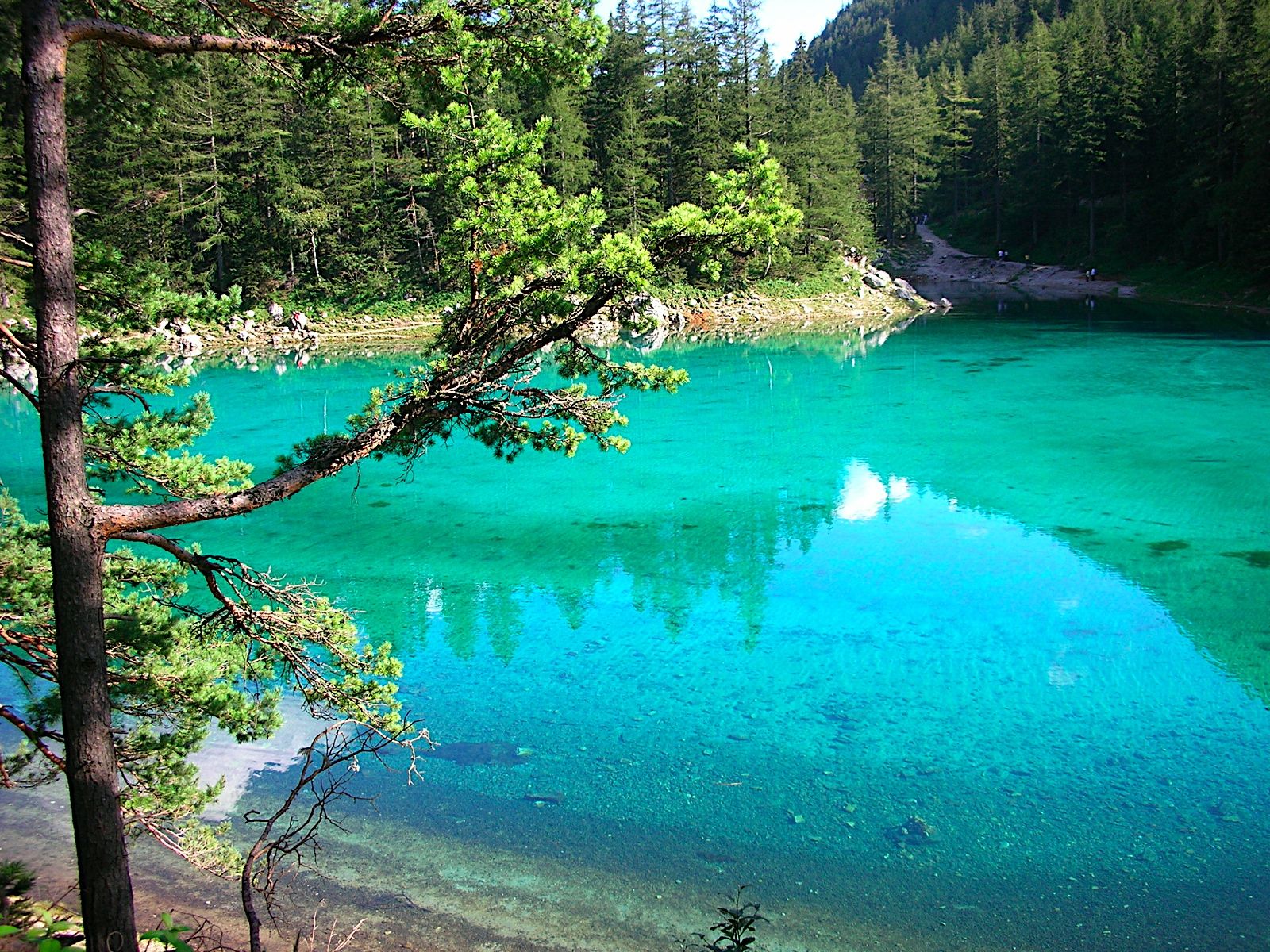 Grüner see зелёное озеро