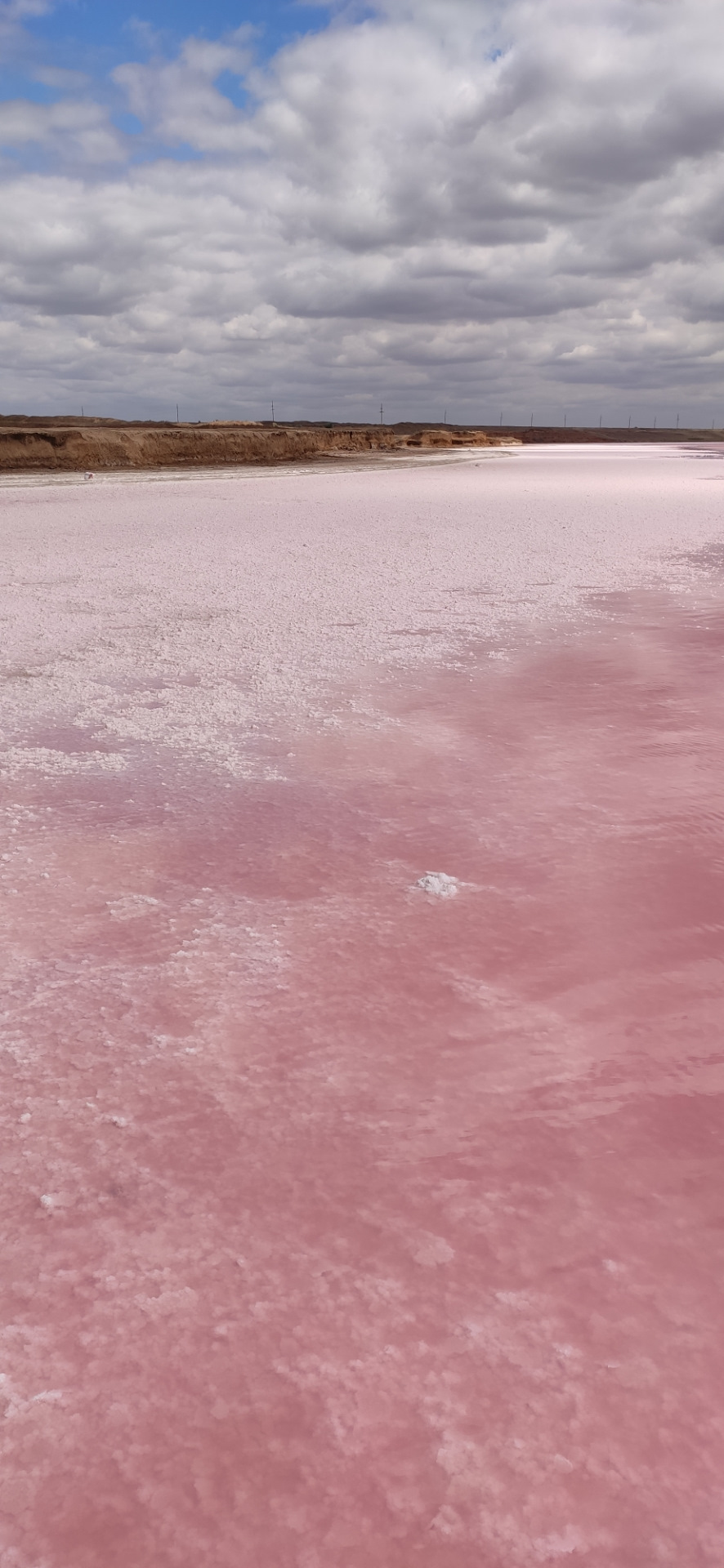 Оленевка розовое озеро